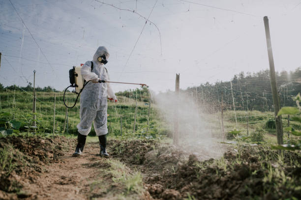 Best Pest Removal Services  in Hobart, WA