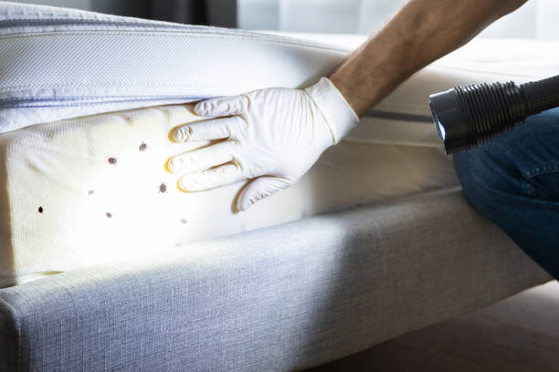 Best Pest Removal Services  in Hobart, WA