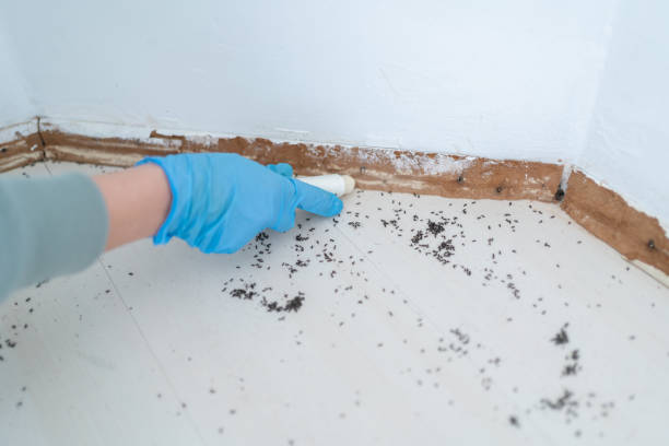 Best Best Pest Control Companies  in Hobart, WA