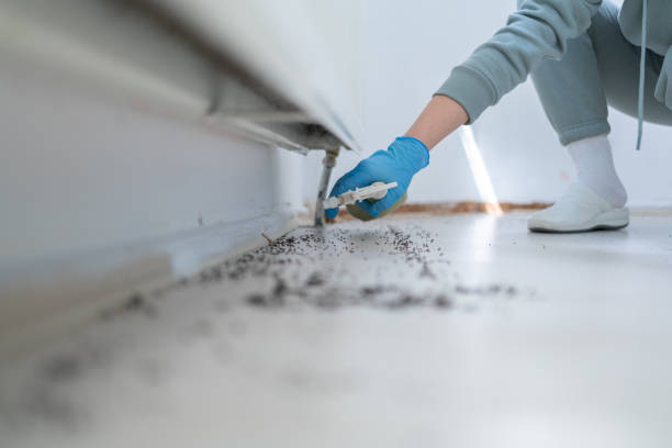 Best Pest Inspection Near Me  in Hobart, WA