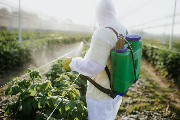 Best Pest Control Near Me  in Hobart, WA